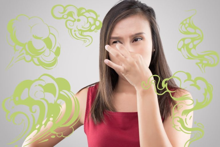 air ducts showing mold removal to eliminate musty smells