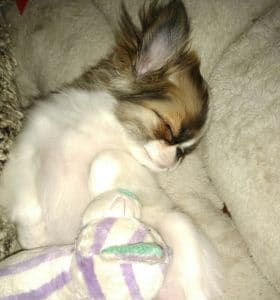 5a1efbe4b015b bath32017 10 3120 05 42UTC