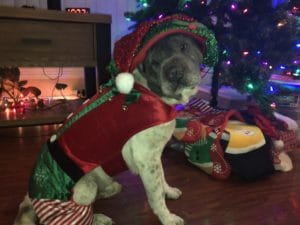 5a2aca13747c5 041C0134 1953 4DF0 BB70 CE0F513A6AB9