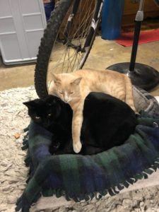 5a2e05318479d F89924A5 0394 40B6 BBFD 20D5B48EE49F e1514934878557