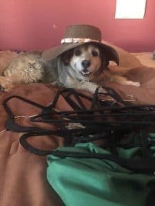 5a3afba19a717 165B2C1C AD21 4943 973D 394A9C25D729