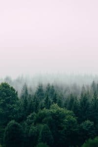 COMMERCIAL HVAC INDOOR AIR COMMERCIAL HVAC INDOOR AIR