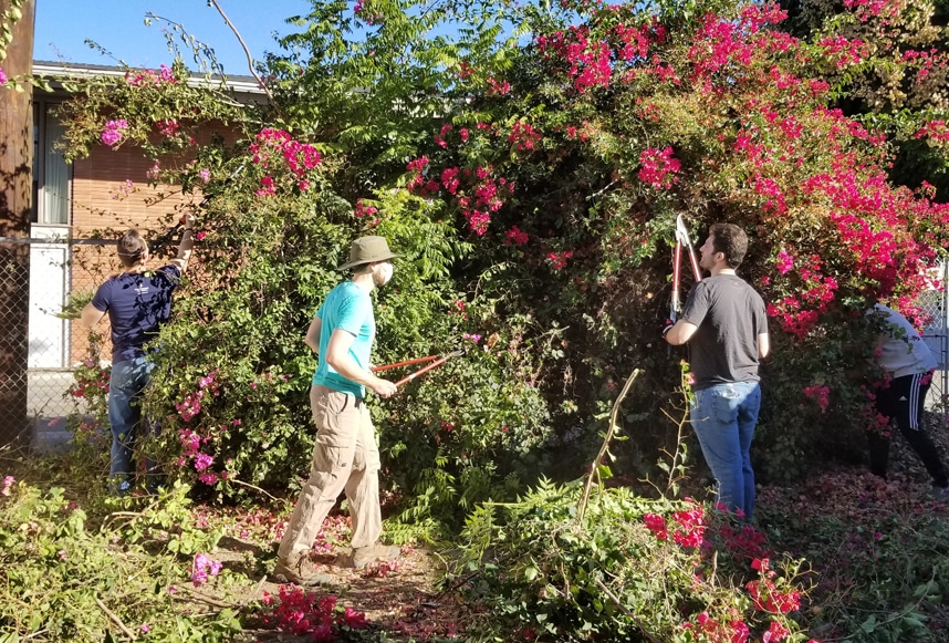 monrovia preservation2 monrovia preservation2