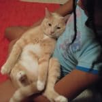 1920 5fcca1cc2e2d2 20161211 220442