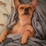 1920 5fd31d8a5a1ac BE6C1D50 861D 4041 AA9D D3D99A756B67