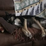 1920 5fd62f0da265e 6AB613C4 0EE4 4CC7 A432 93CB344197E4