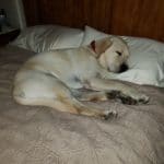 1920 5fde50f3540b6 inbound7742199172457100451