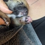 5fc71b94bf6cb 9F8310E2 685B 41D2 8CDA 70C25824AF95