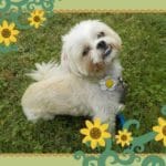 5fd061dd1b475 AC8074EC 606B 4EB2 8178 BED2A0B62A03