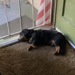 5fd40f1dd43cd 85701166 9B2E 4824 B867 2A5E13F0160E