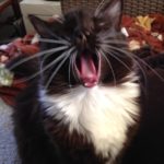 5fe22a76460dc 7FDEF93E 83FD 4F34 B139 96B07D1DDB16