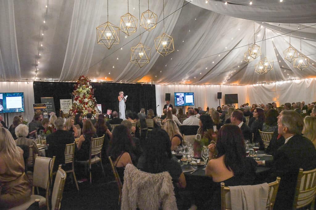 Festival of Trees image3 Festival of Trees image3