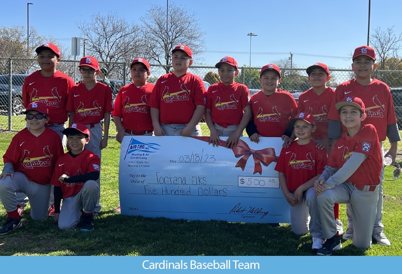 Cardinals Baseball Team 1 Cardinals Baseball Team 1