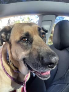 Air Conditioning, HVAC