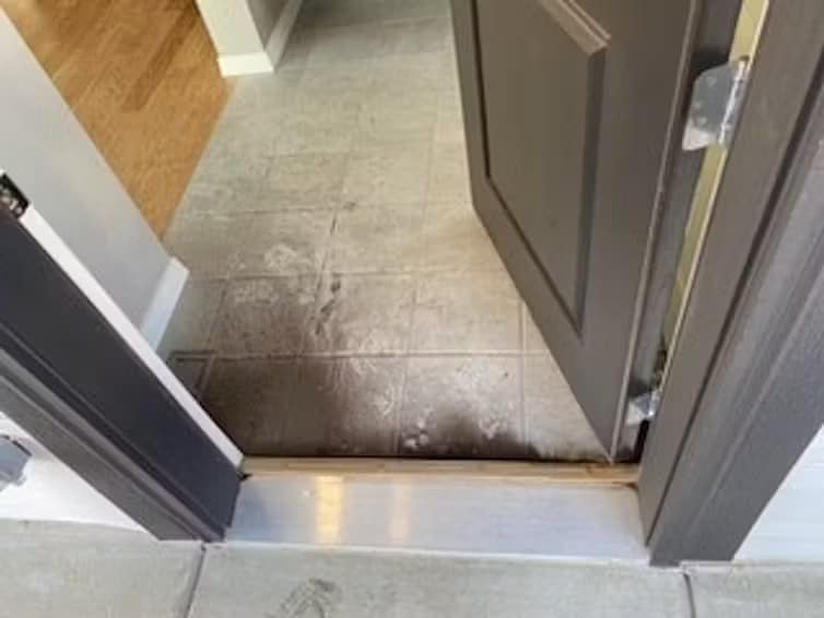 wildfire ash wildfire ash