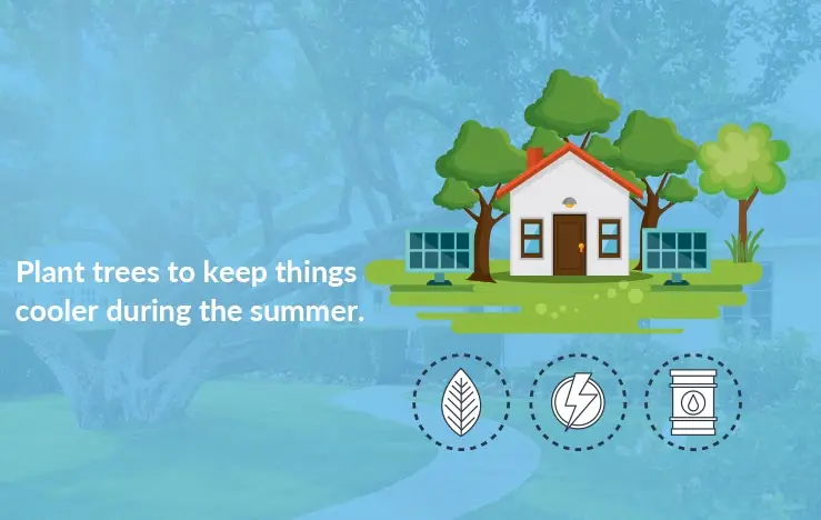 75 Plant trees 75 Plant trees